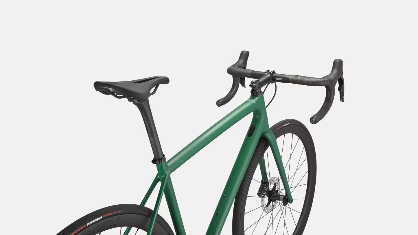 2024 Specialized aethos expert bike pine green / white 58