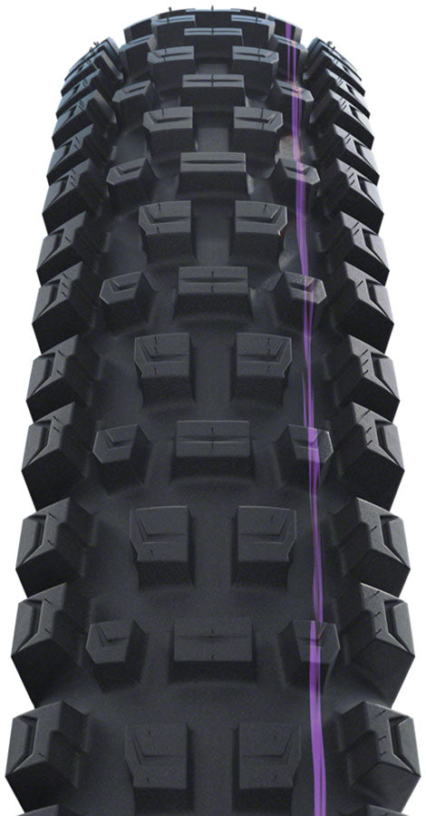 Schwalbe Albert Tire - 29 x 2.50 Tubeless Folding BLK Evolution Line Gravity Pro Addix Ultra Soft Radial E-50