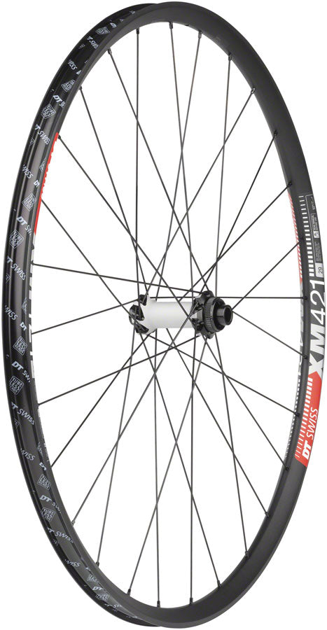 DT Swiss  350/XM421 Front Wheel - 29" 15 x 110mm Center Lock Black