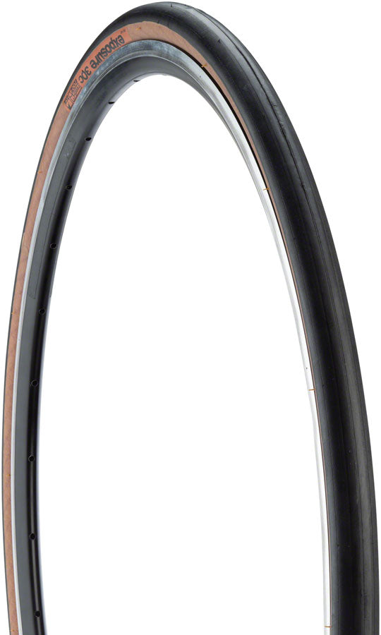 WTB Exposure Tire - 700 x 30 TCS Tubeless Folding Black/Tan