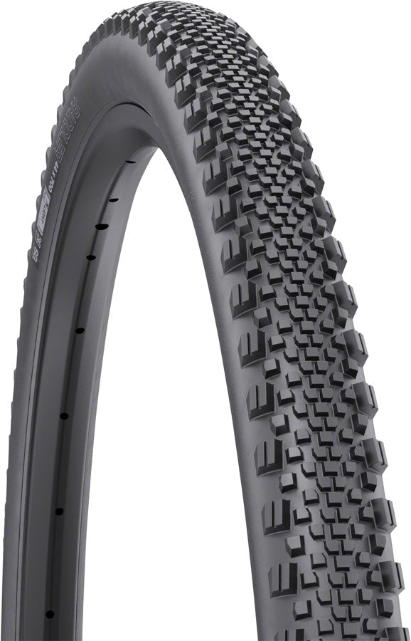 WTB Raddler Tire - 700 x 44 TCS Tubeless Folding BLK Light Fast Rolling SG2