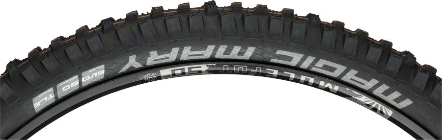 Schwalbe Magic Mary Tire - 29 x 2.6 Tubeless Folding BLK Evolution Line Super Gravity Addix Soft