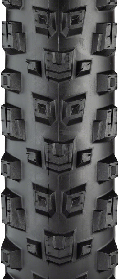 Teravail Warwick Tire - 29 x 2.5 Tubeless Folding BLK Light Supple Fast Compound